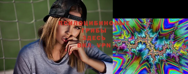 мяу мяу мука Волоколамск