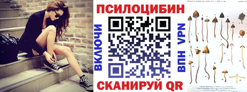 Галлюциногенные грибы мицелий  Купить  Дятьково 
